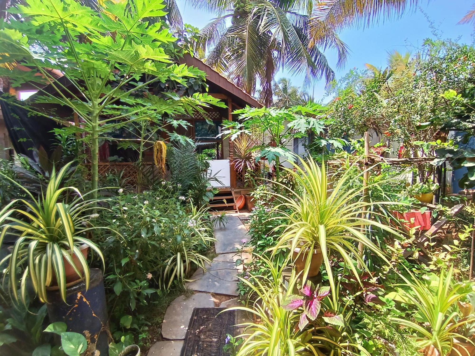 Monsoon Hotel Agonda Eksteriør billede